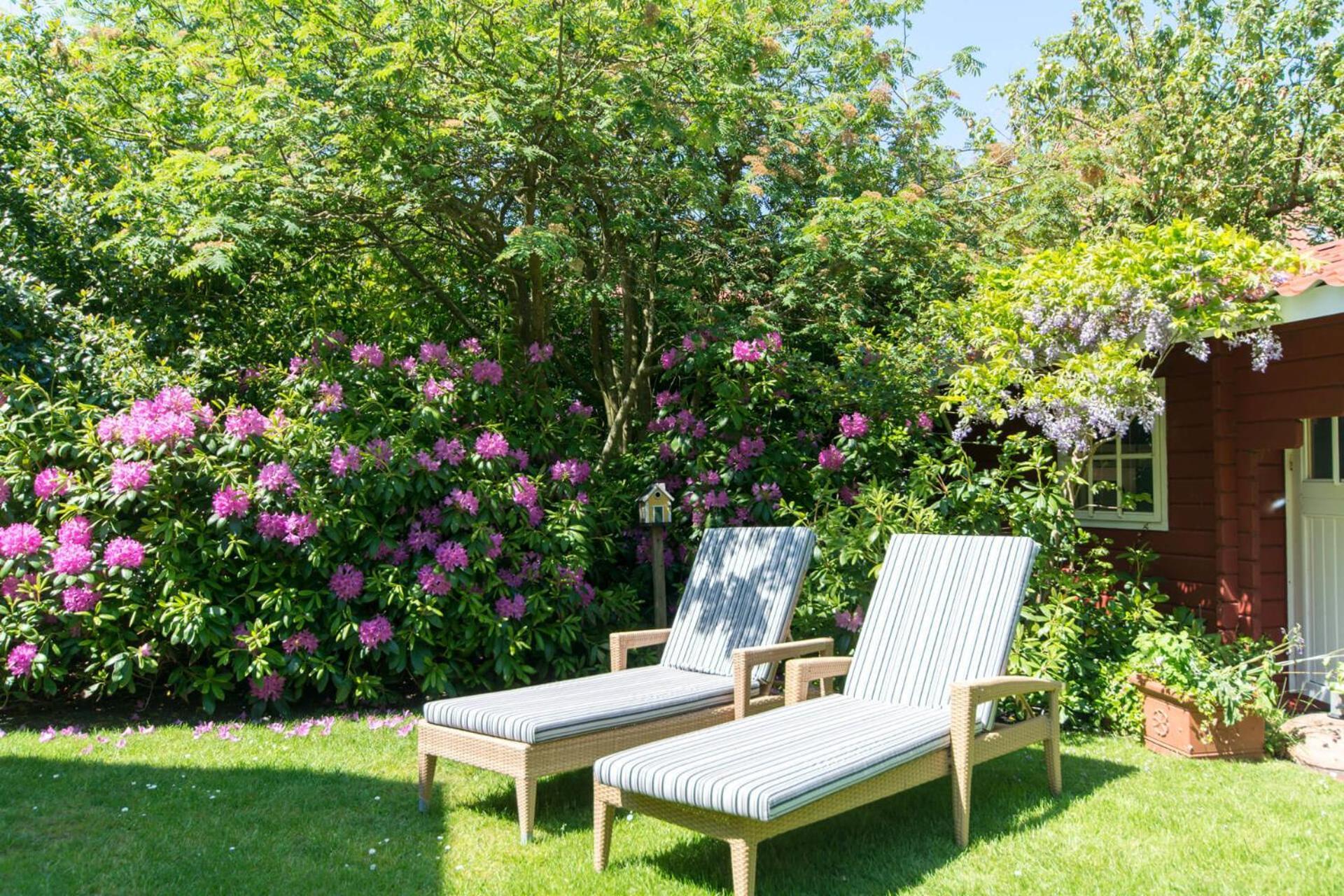 Haus Am Park Whg11 Διαμέρισμα Spiekeroog Εξωτερικό φωτογραφία